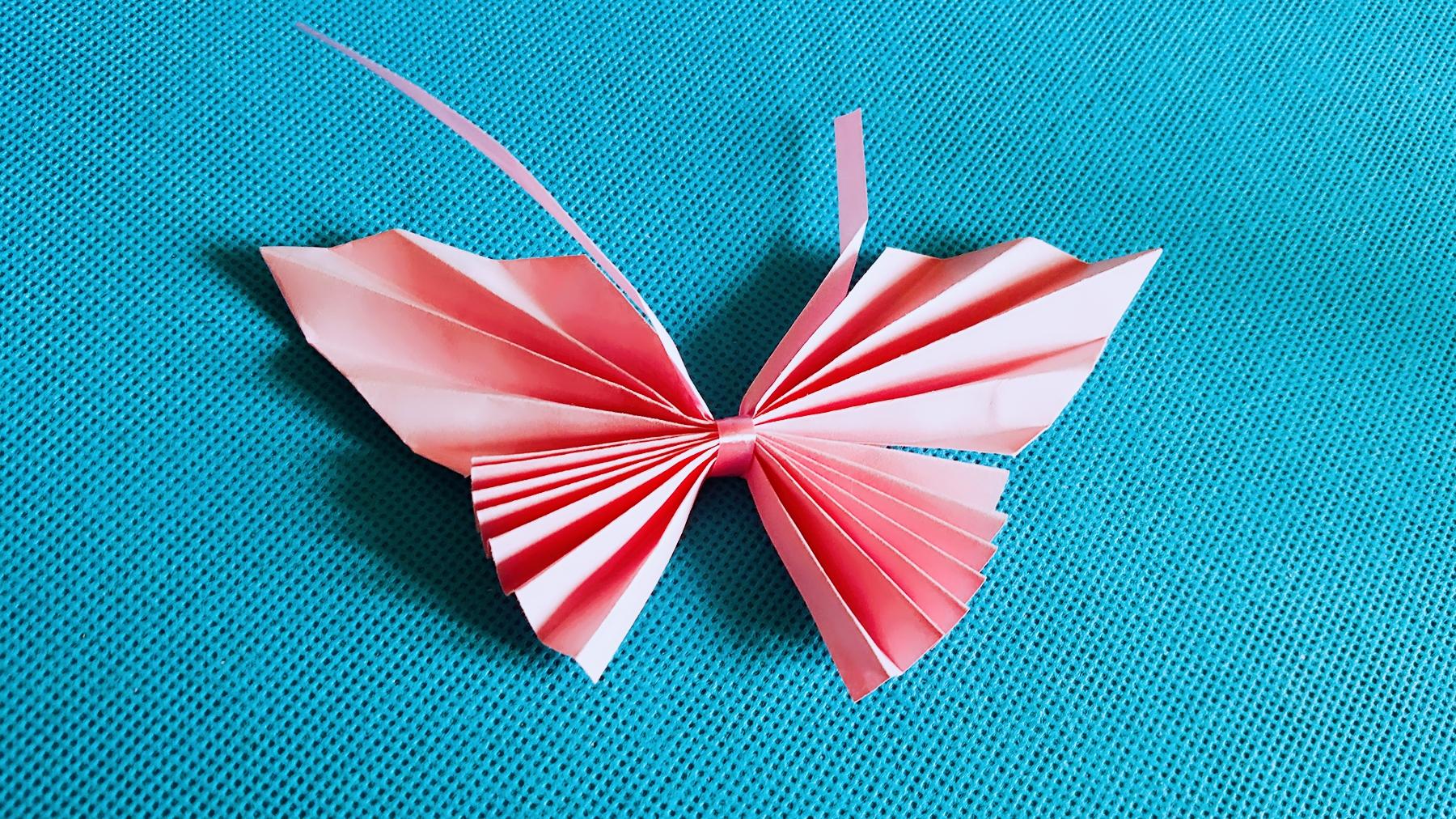 中班折纸蝴蝶图片