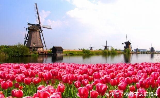 荷兰为什么改名尼德兰