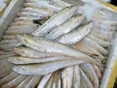 刀鱼是海鲜吗?是不是发物