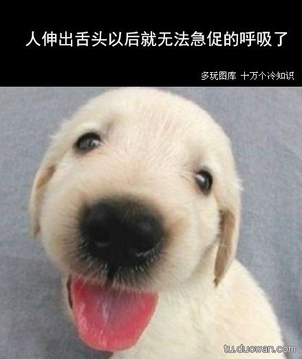 谁能在电脑上帮我找一张图片,图片出自多玩十万个冷知识,图片里面有