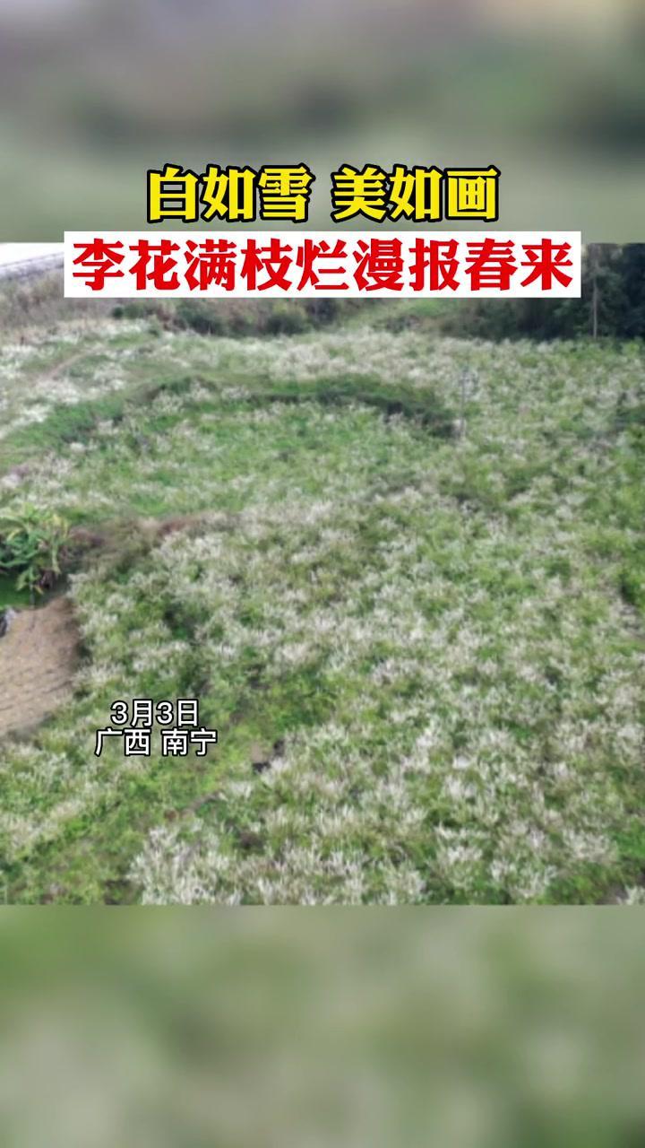 360影视 影视搜索 360影视 影视搜索