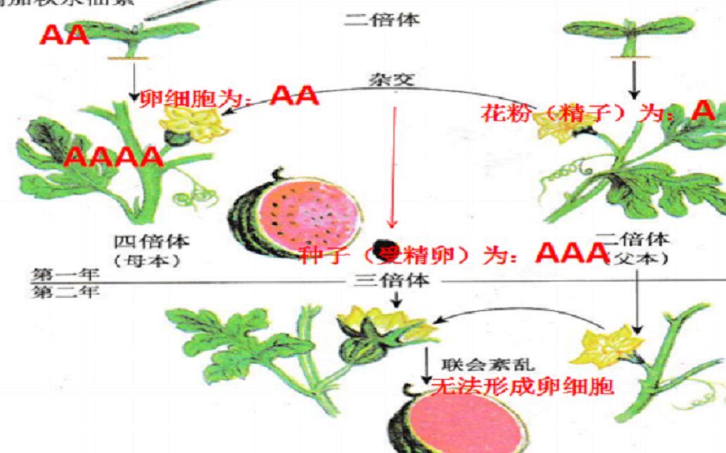 360影视 影视搜索