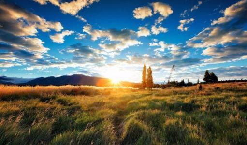 原城小说《情到深处不怕孤独》完整百度云。谢