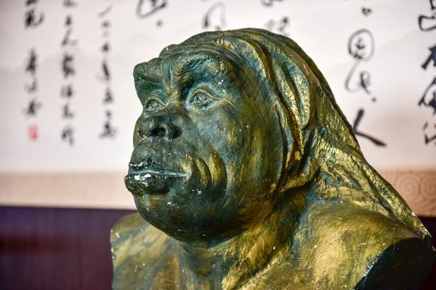 北京人和蓝田人哪个更老些?距今分别有多少年?