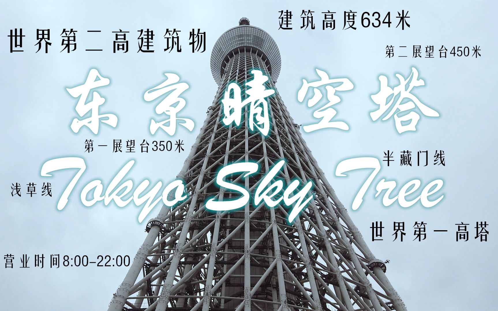 360影视 影视搜索