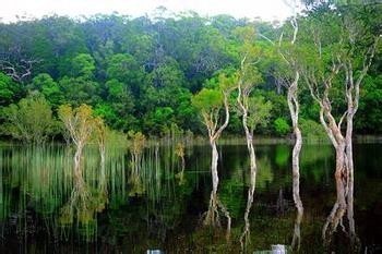 为什么赤道低气压带控制盛行上升气流形成了热