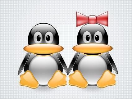 怎样快速增肥?10天涨5公斤?