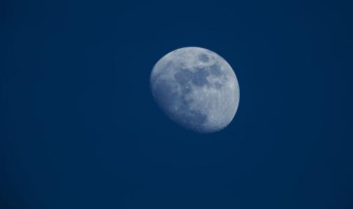 今晚月色很美是什么梗 日语里今晚月亮很