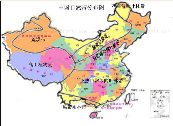 中国热带雨林气候分布图片