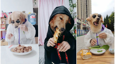 狗头人身:今天户外装个十三,看看美女