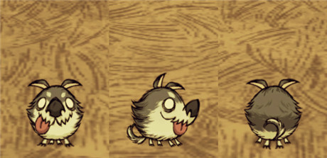 《饥荒》联机版圣诞节宠物皮肤图文详解