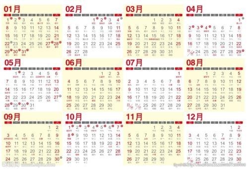 妖神记动画几天更新一集