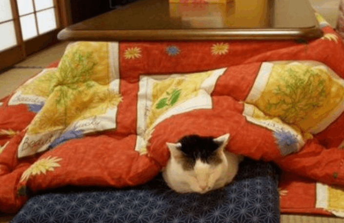 有些人是不会有的