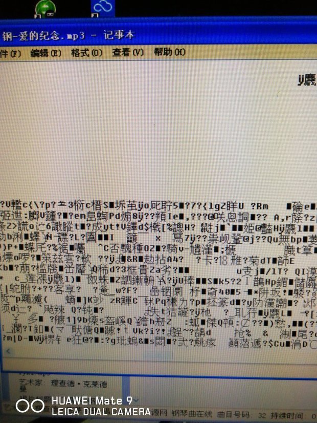 USB插到电脑里显示mp3记事本这些乱码字是什