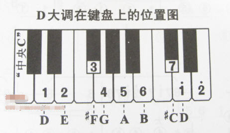 电子琴上哪个键是1234567