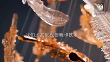 [图]sans souci 丨照明原创领域的领导者