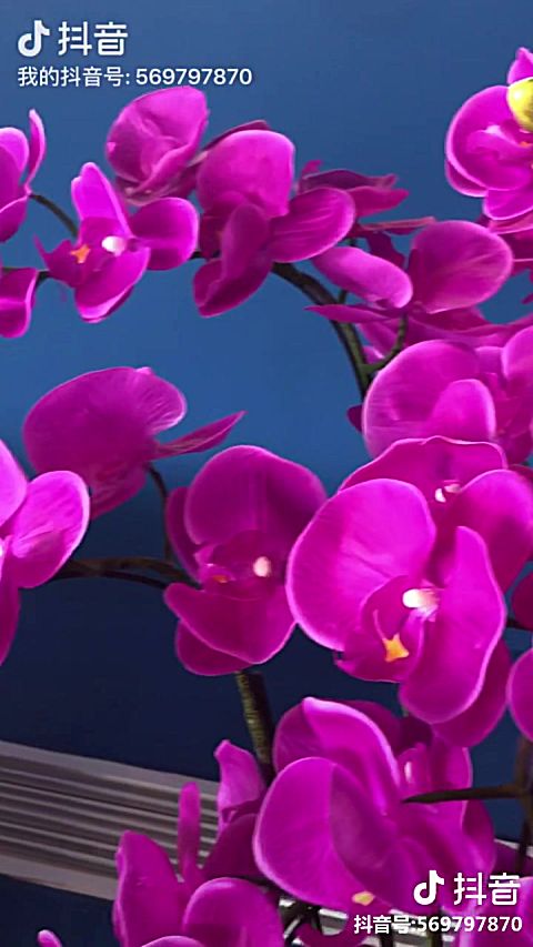 360影视 影视搜索 360影视 影视搜索