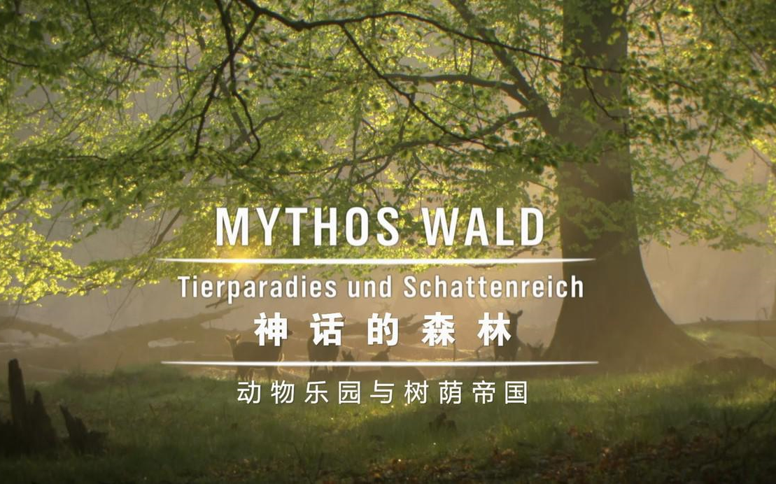 [图]【1080P】【纪录片】神话的森林 Mythos.Wald .2009【全2集】【中英字幕】