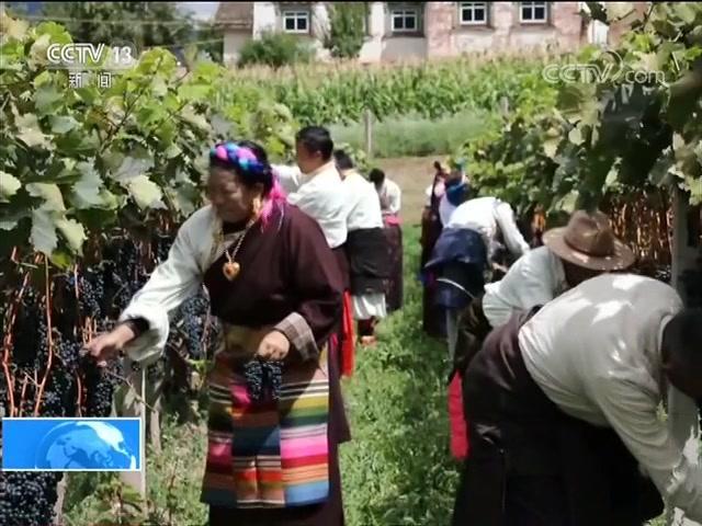 [图]秋分时节 各地喜迎中国农民丰收节