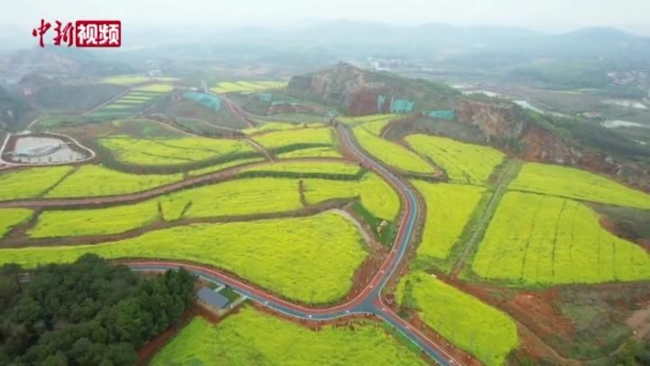 [图]武汉江夏废弃矿山上建4A景区 打造生态旅游