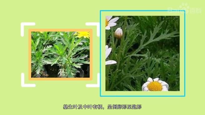 360影视 影视搜索 360影视 影视搜索