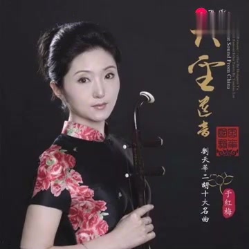 [图]《大圣遗音•刘天华十大二胡名曲》于红梅演奏_《光明行》