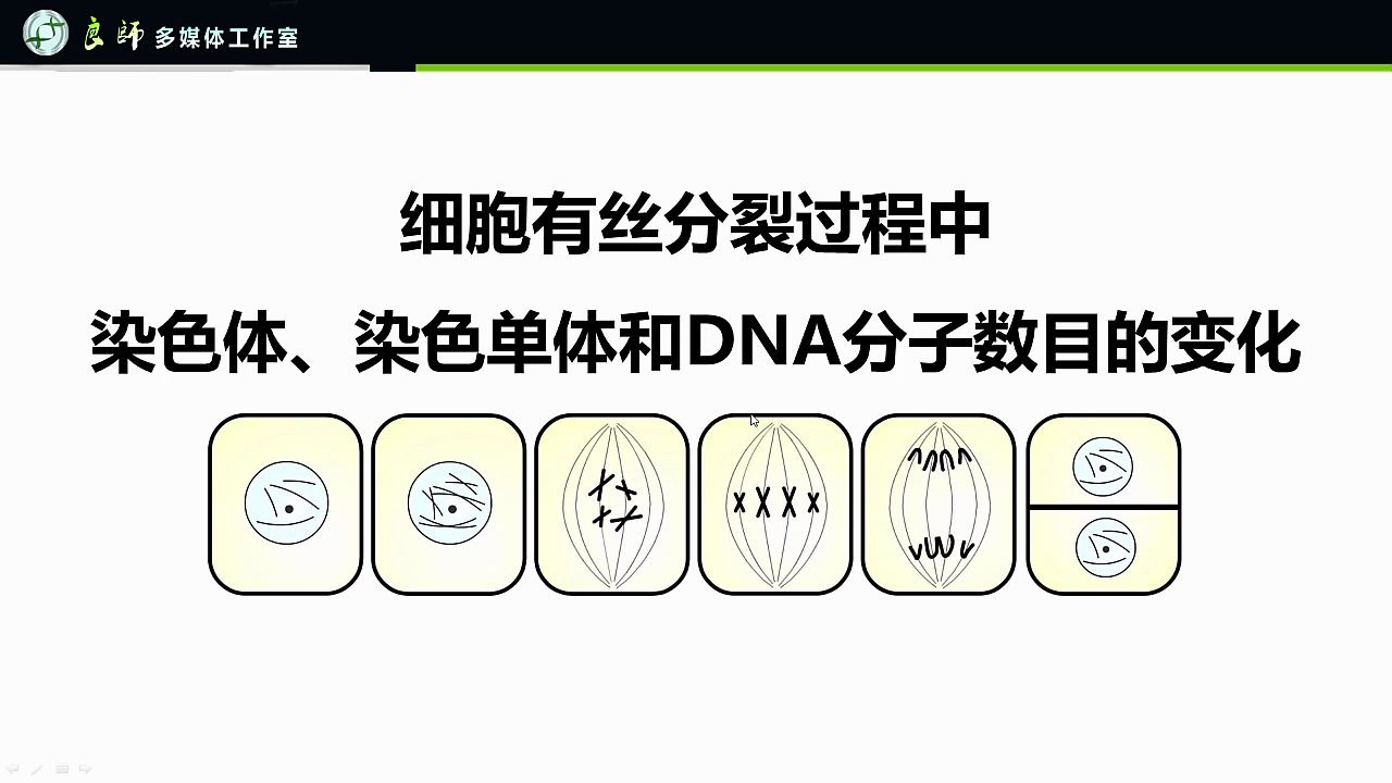 360影视 影视搜索