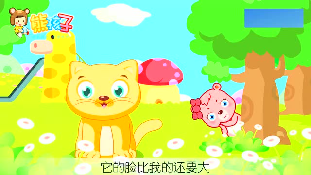 少儿启蒙益智儿歌:大花猫和大脸猫