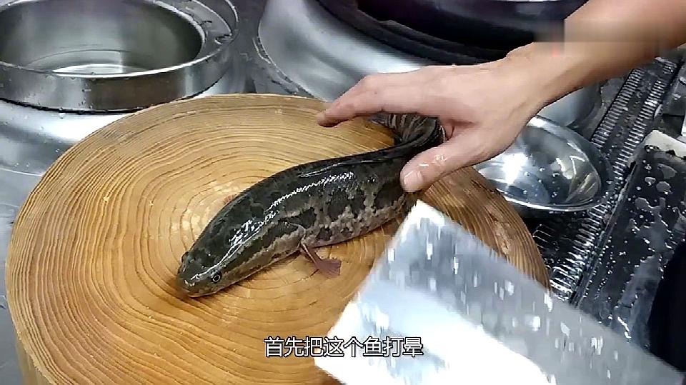教你 杀鱼怎么杀,大厨这样 杀黑鱼,干净利落
