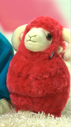 为什么我用raw格式拍的照片用美图看看打开颜