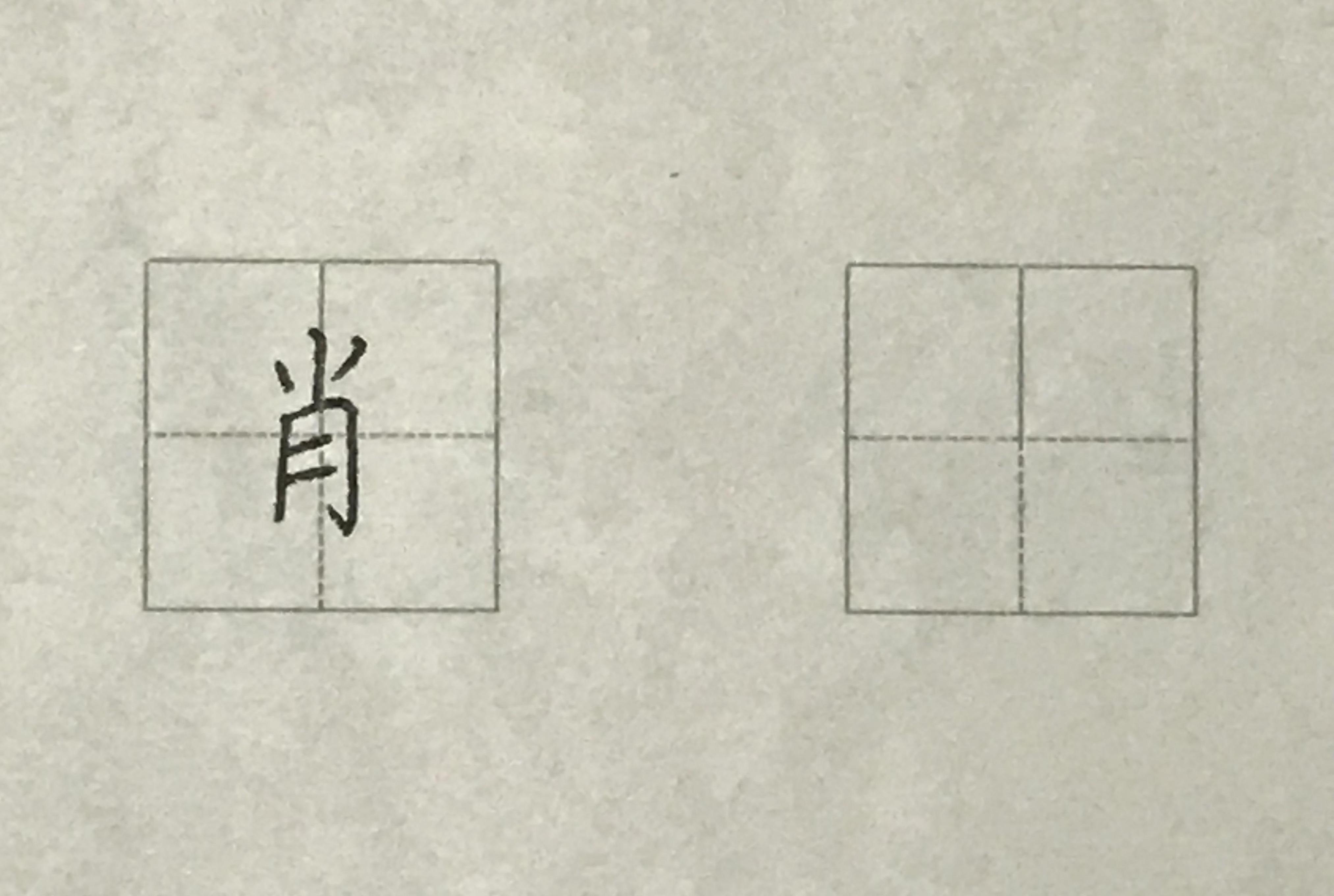 视频  硬笔书法 楷书每日一字:肖