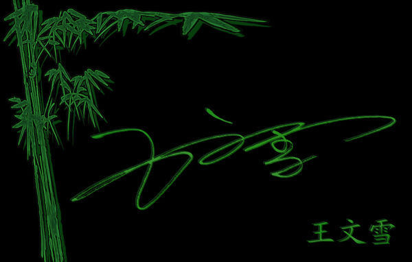 那位大师能帮我设计一个艺术签名,我的名字叫王文雪
