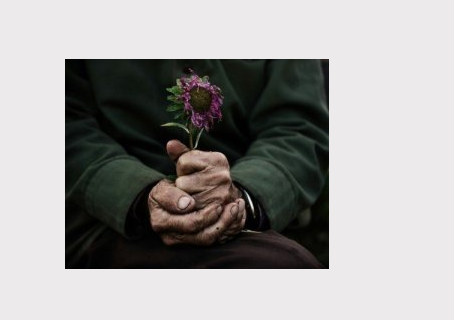 个人学习经历怎么写