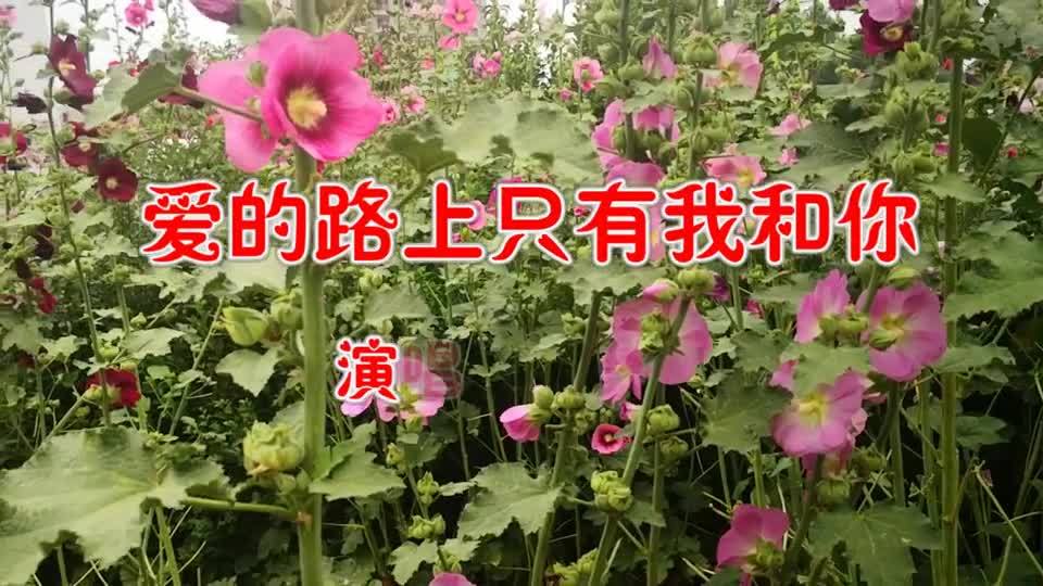 [图](爱的路上只有我和你)经典情歌,好听极了