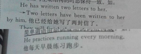 这三个英语句子 谓语是什么?谓语动词是什么?
