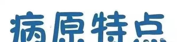 非洲非洲猪瘟疫情现状