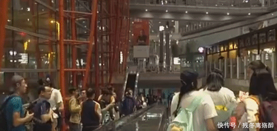 郎平带女排成绩