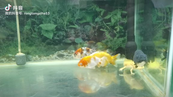 360影视 影视搜索