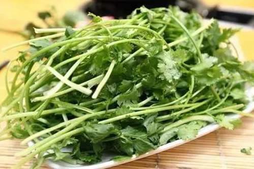 盐须菜和香菜的区别