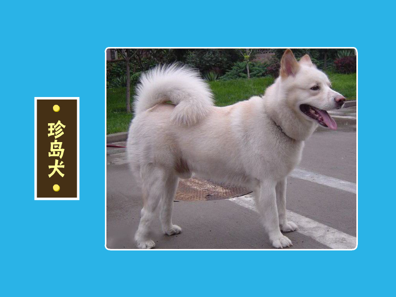 360影视 影视搜索