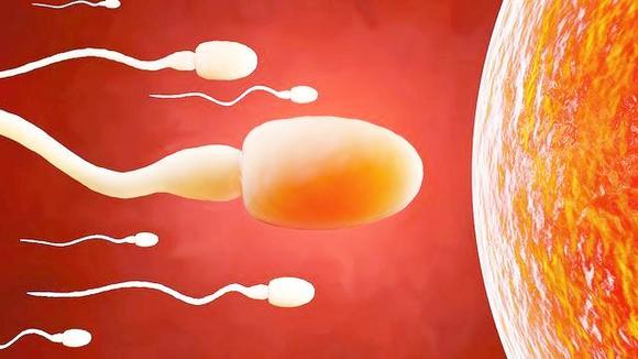 精子进入女人体内后,3种症状一出现,说明受精卵已成功着床