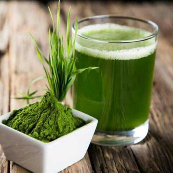 长期吃小麦苗汁,有啥好处