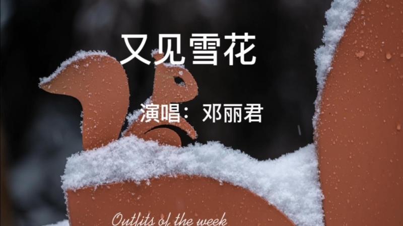 [图]邓丽君《又见雪花》