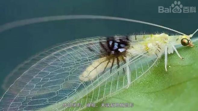 360影视 影视搜索