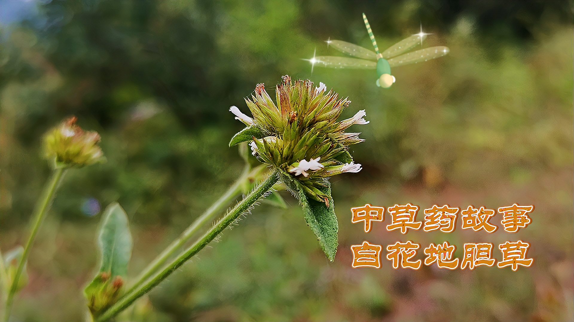360影视 影视搜索 360影视 影视搜索