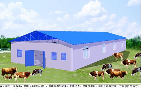 养牛牛棚怎样建造图片