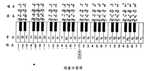 琴键的拼音图片