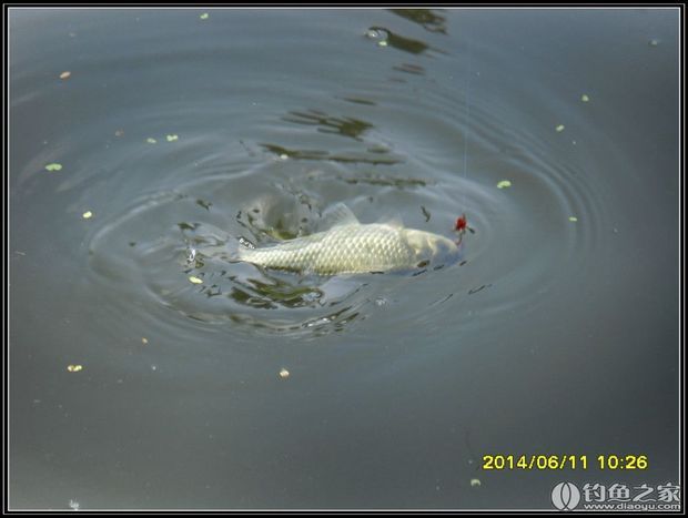 水中横钩不空还。(字)