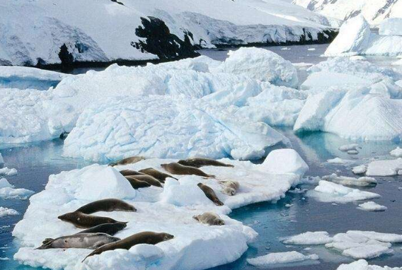 南极冷还是北极冷?