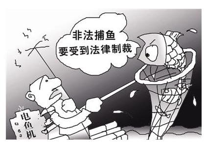 电鱼是违法的吗?